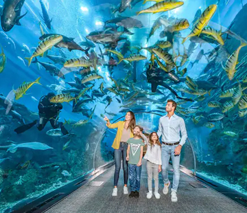Dubai Aquarium and Underwater Zoo